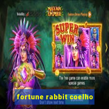 fortune rabbit coelho